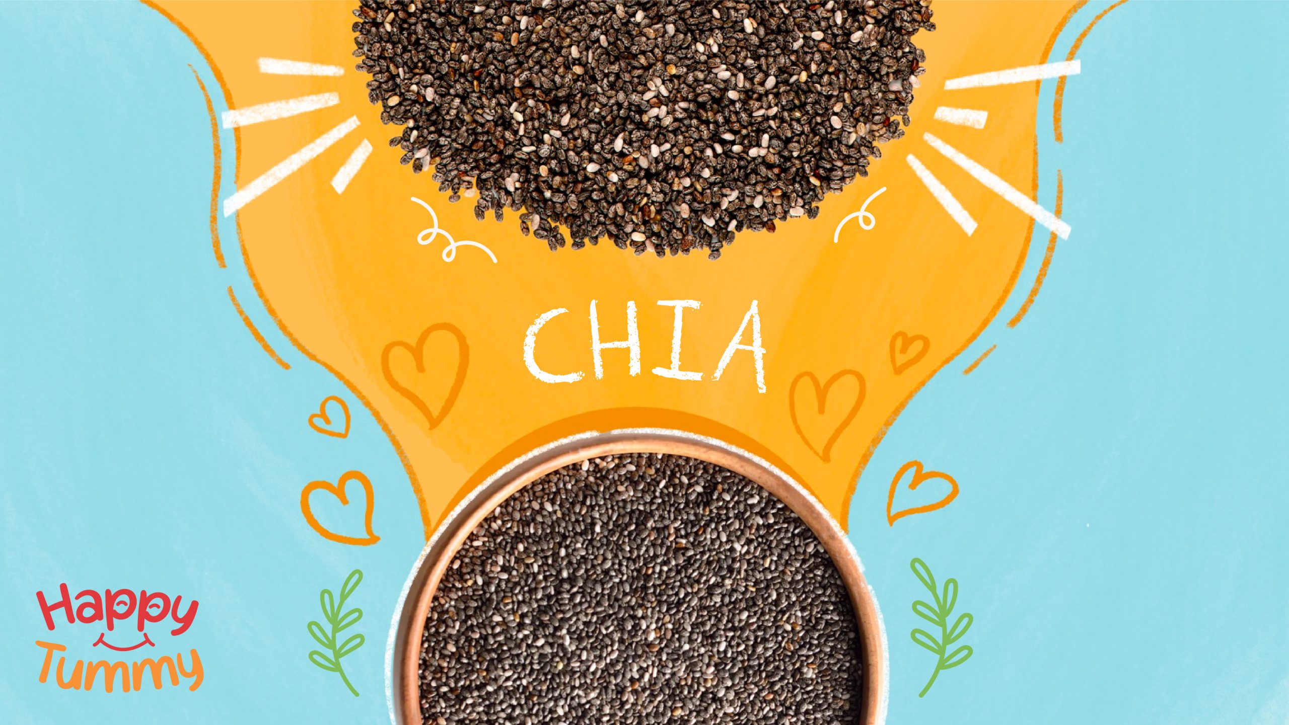 All about the popular superfood–Chia seeds