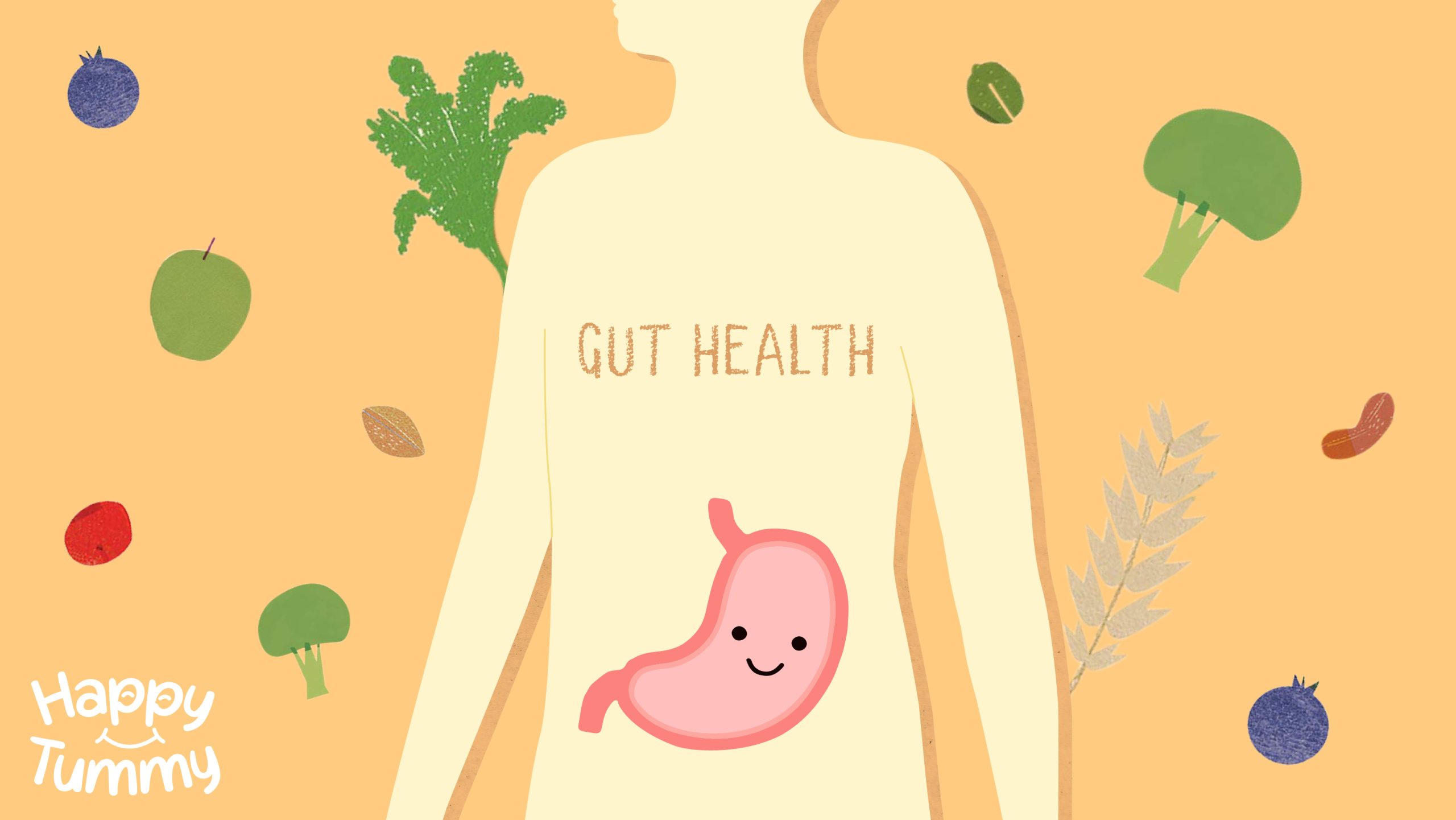 The Gut is the Foundation of Your Health