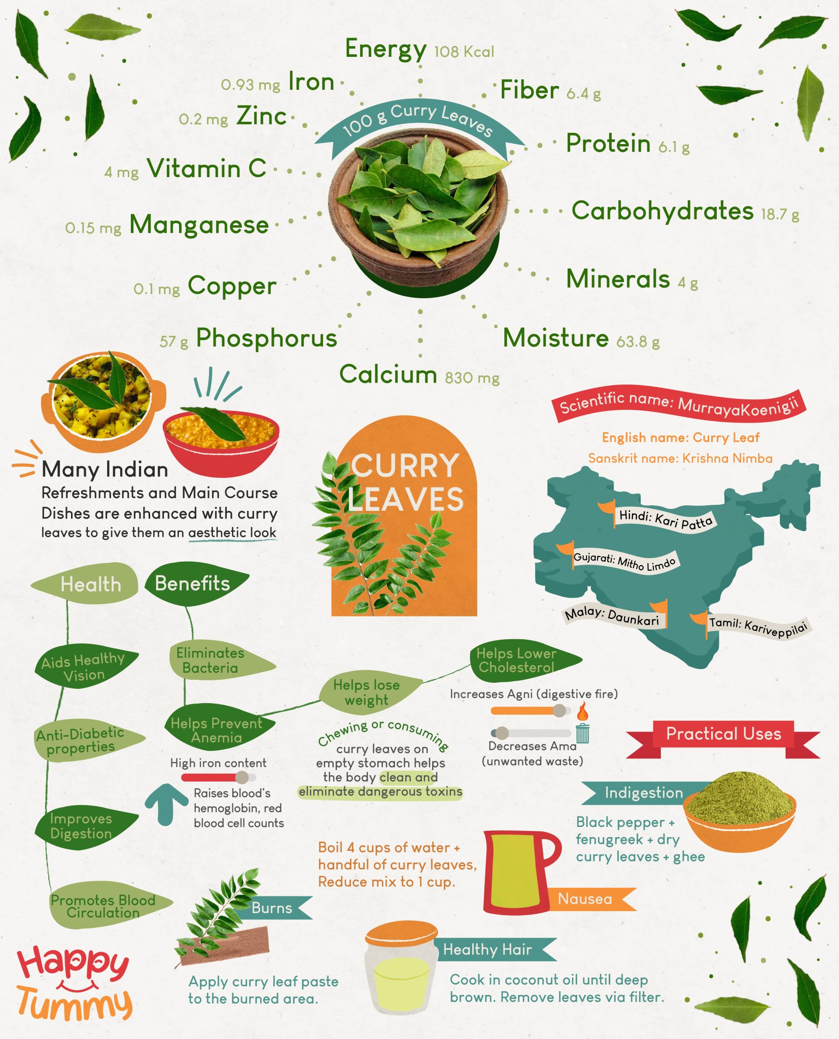 Top 10 Health Benefits of Curry Leaves You Didn't Know - Happytummy