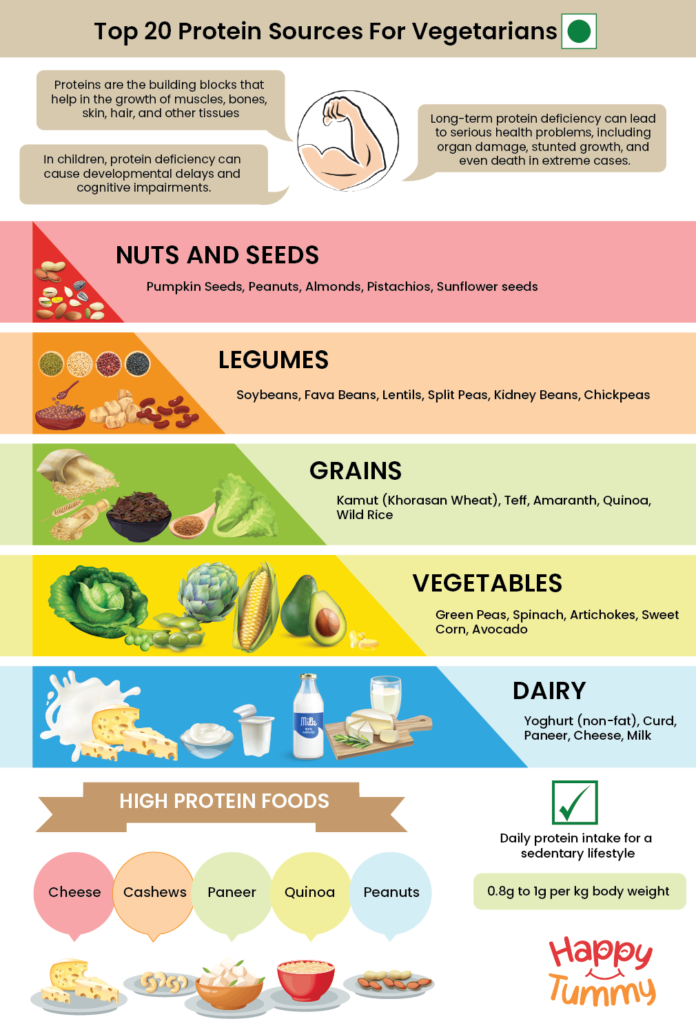 Top 20 Protein Sources For Vegetarians - Happytummy