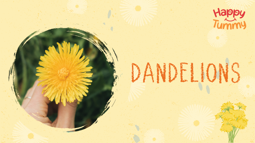 Dandelions (Singhparni): Uses, Benefits & Side effects