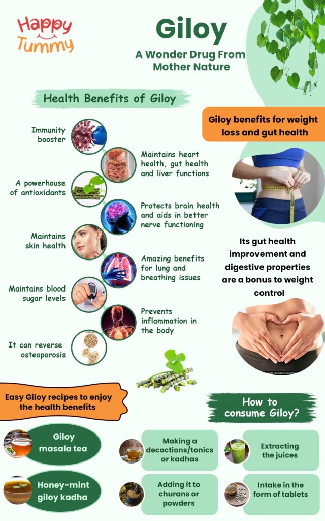 Giloy Health benefits