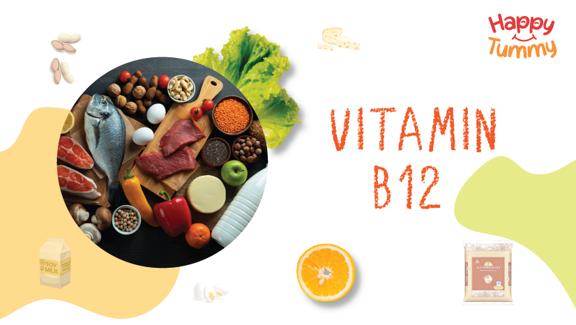 Top Sources of Vitamin B12 | Uses, Benefits of Vitamin B12
