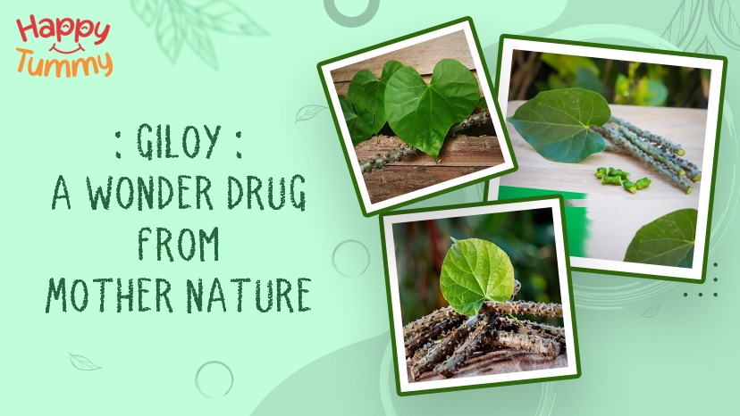 What Is Giloy? Health Benefits, Uses & Nutrients