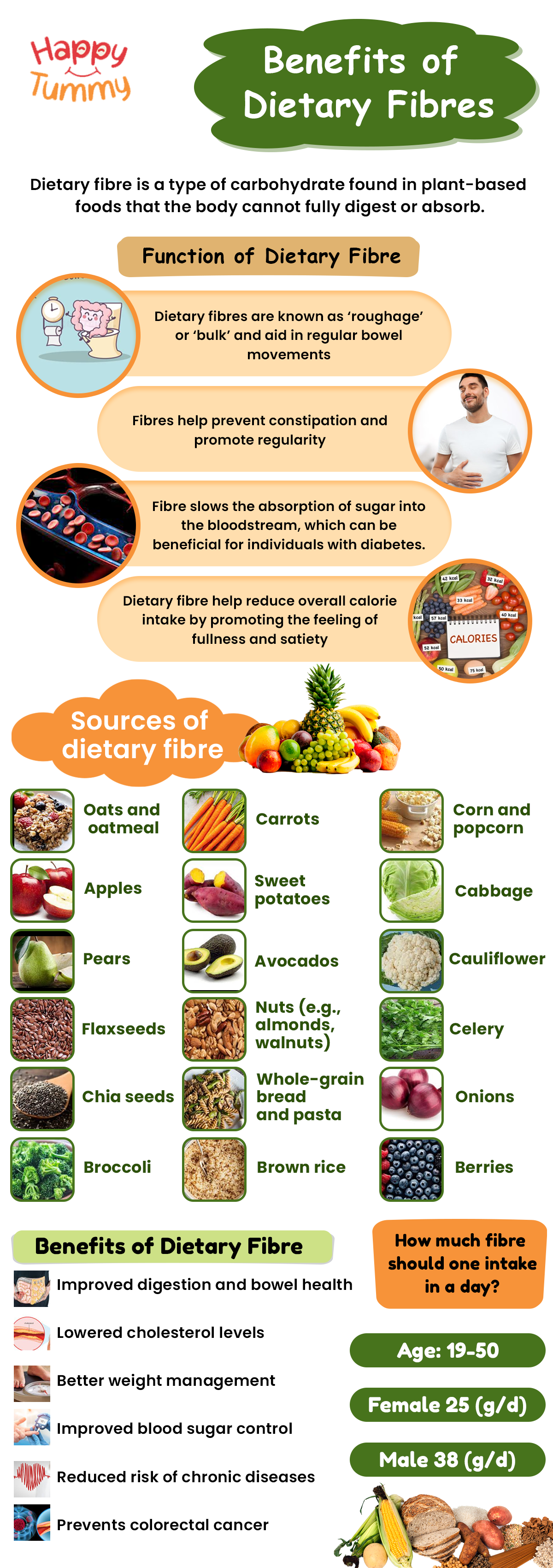 What's Dietary Fibre and Why Is It Essential for Our Body? Benefits ...