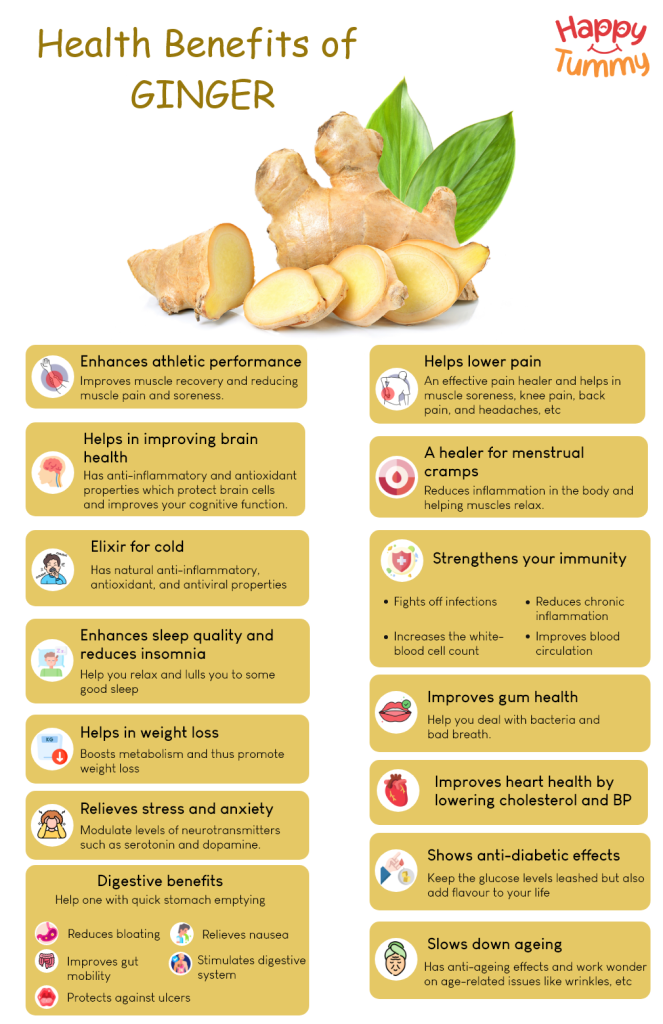 Top 15 Hidden Benefits Of Ginger Happytummy 4218