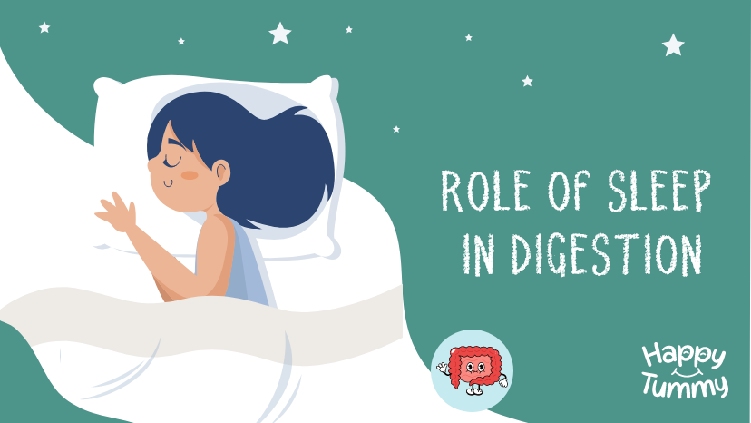 Role Of Sleep In Digestion