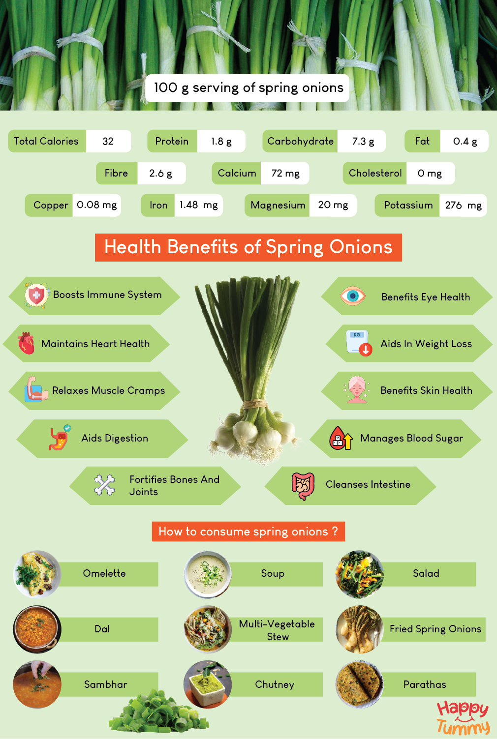 Incredible Health Benefits of Spring Onions (Hara Pyaaz) Happytummy