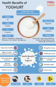 yogurt on low carb diet