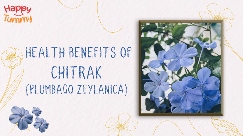 Unknown Health Benefits of Plumbago Zeylanica (Chitrak)