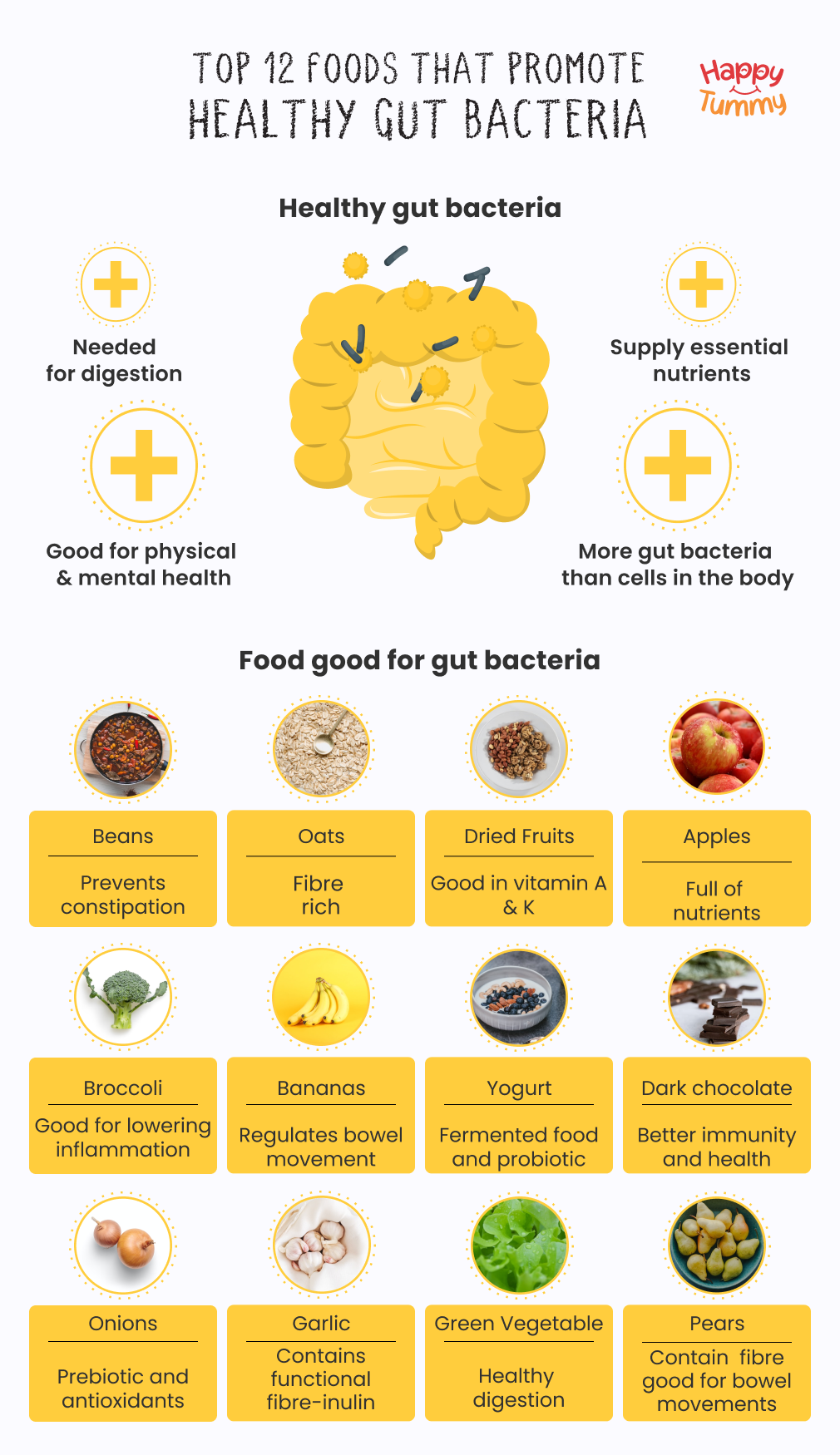 top-12-foods-that-promote-healthy-gut-bacteria-happytummy