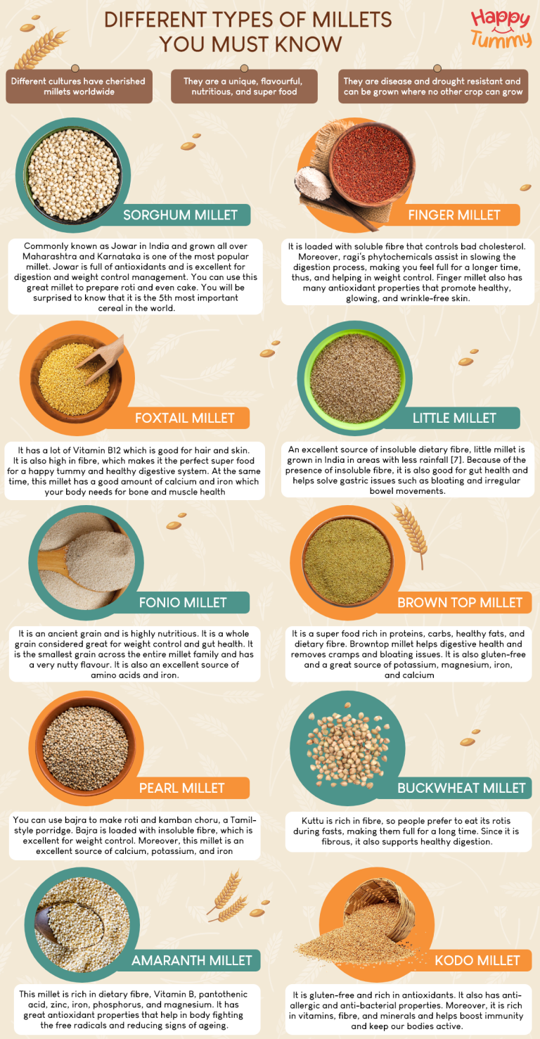 What are the Different Types of Millets you Must Know - Happytummy