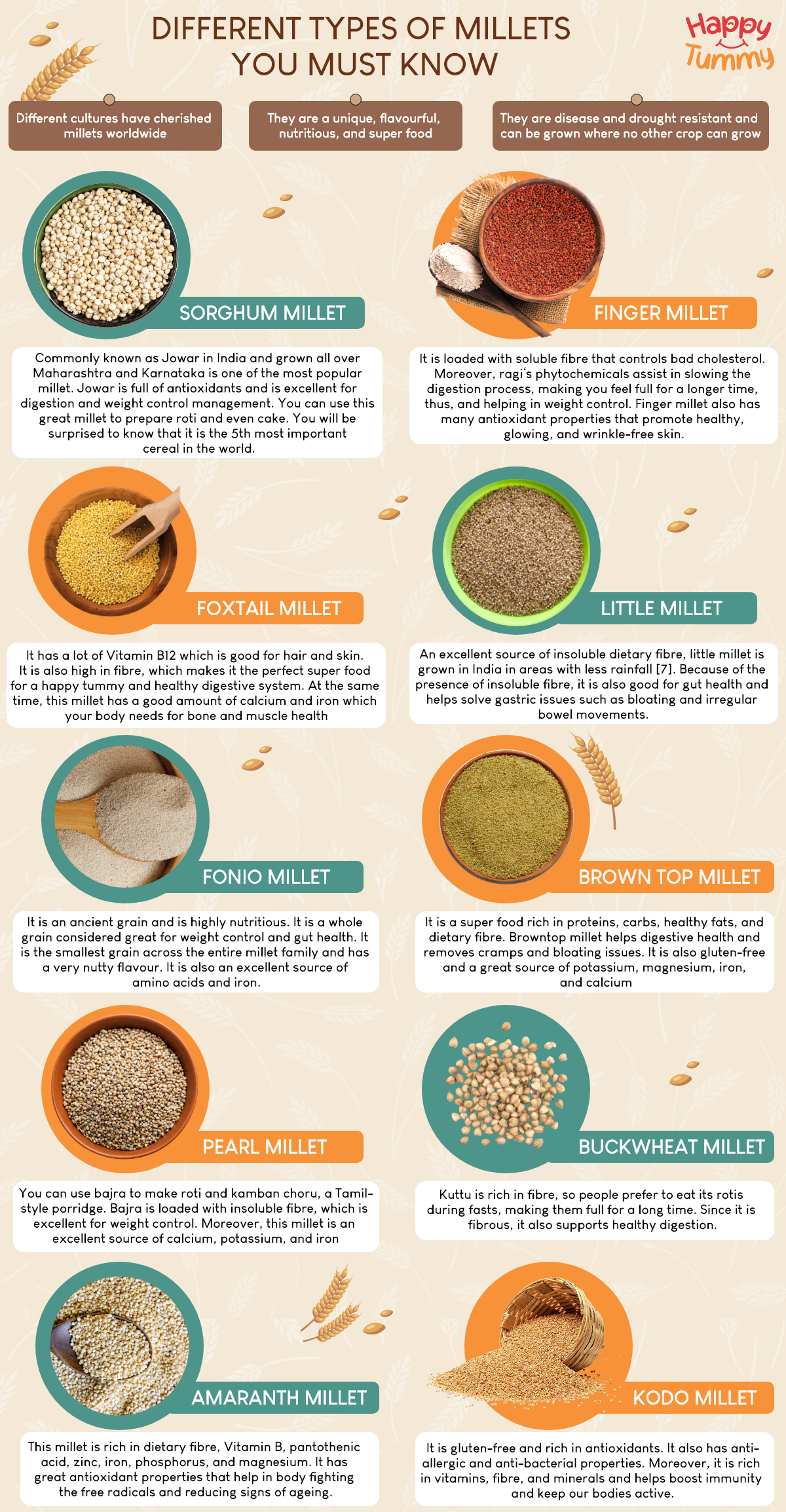 What are the Different Types of Millets you Must Know Happytummy