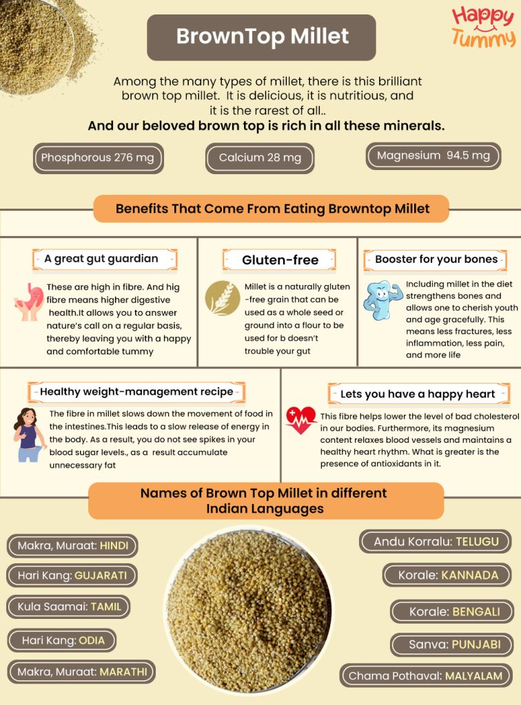 benefits of brown top millet