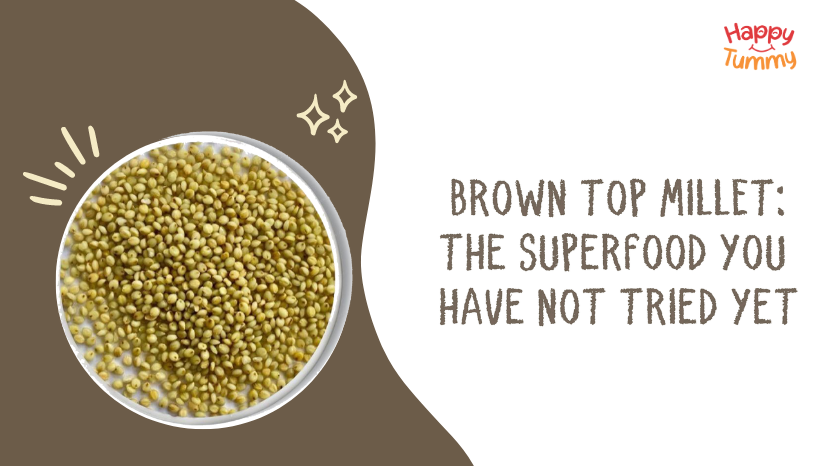 Brown Top Millet: The Superfood You Haven’t Tried Yet