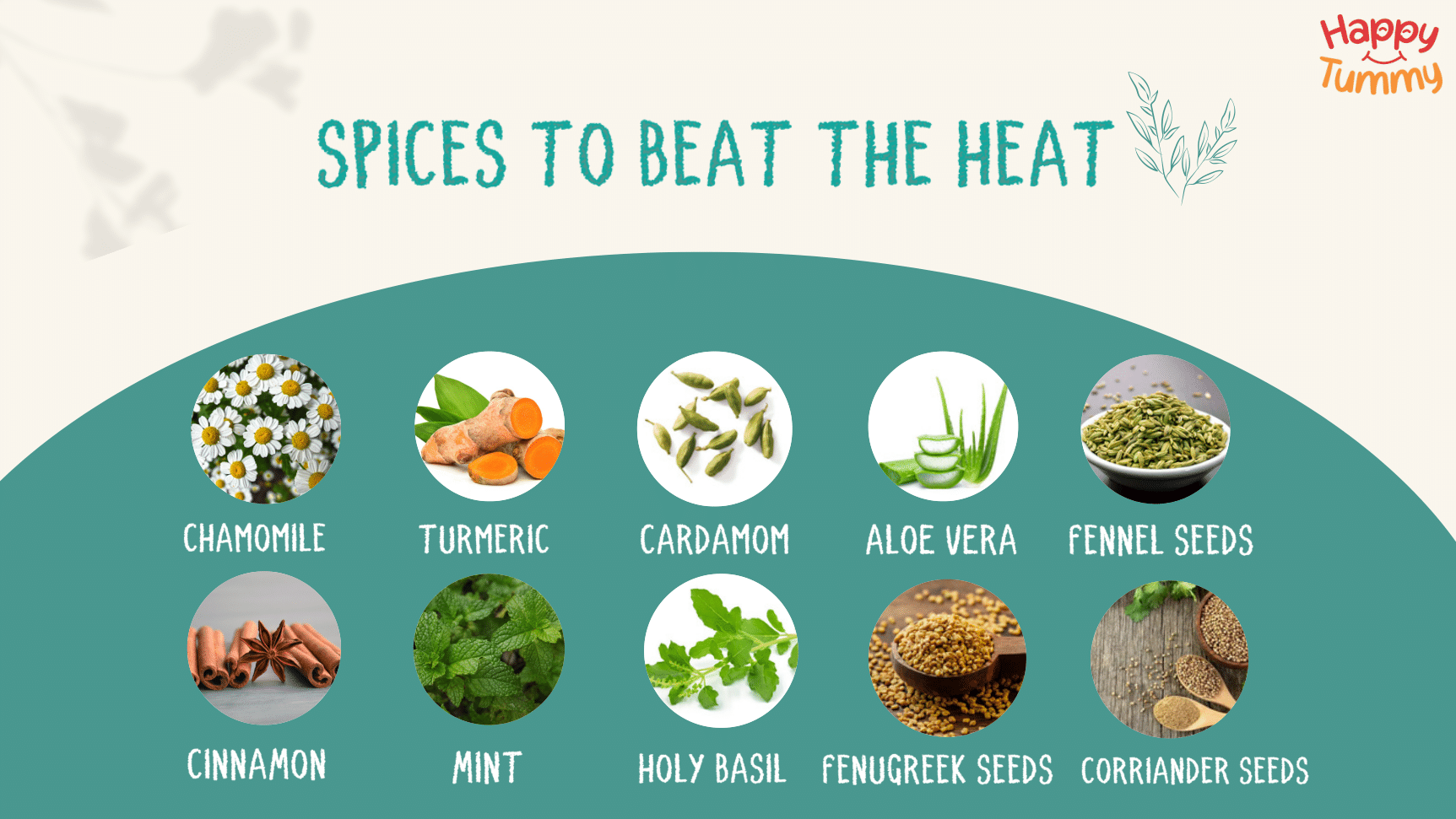 Spices to beat the heat: Anti-inflammatory and cooling spices and herbs