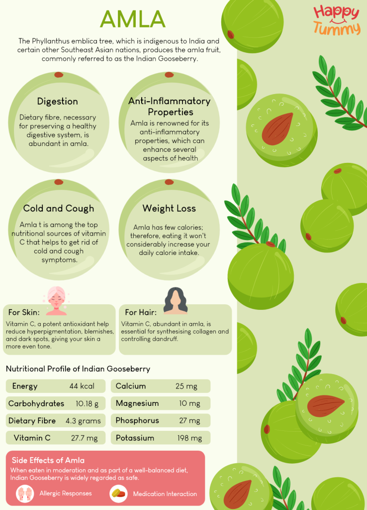 Amla health benefits infographic