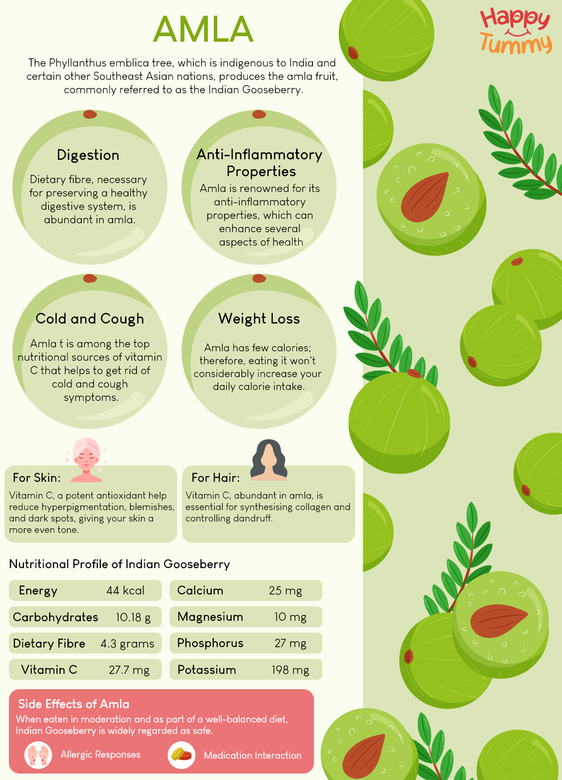 Uncovering Amla And Its Hidden Health Benefits Happytummy