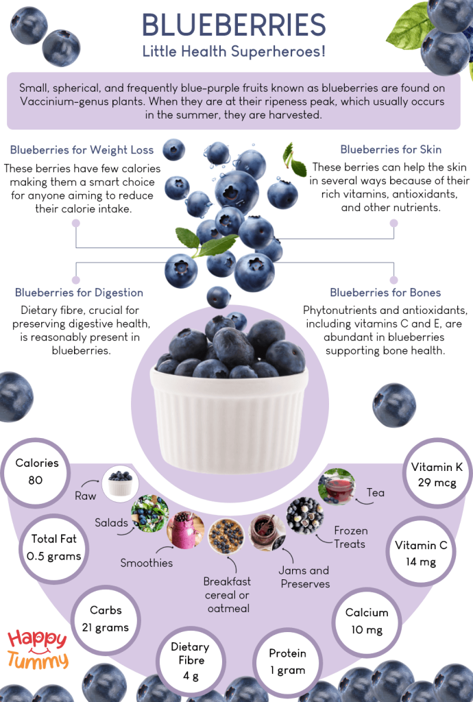 Blueberries benefits infographic