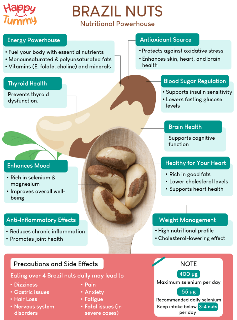 Brazil nuts benefits infographic