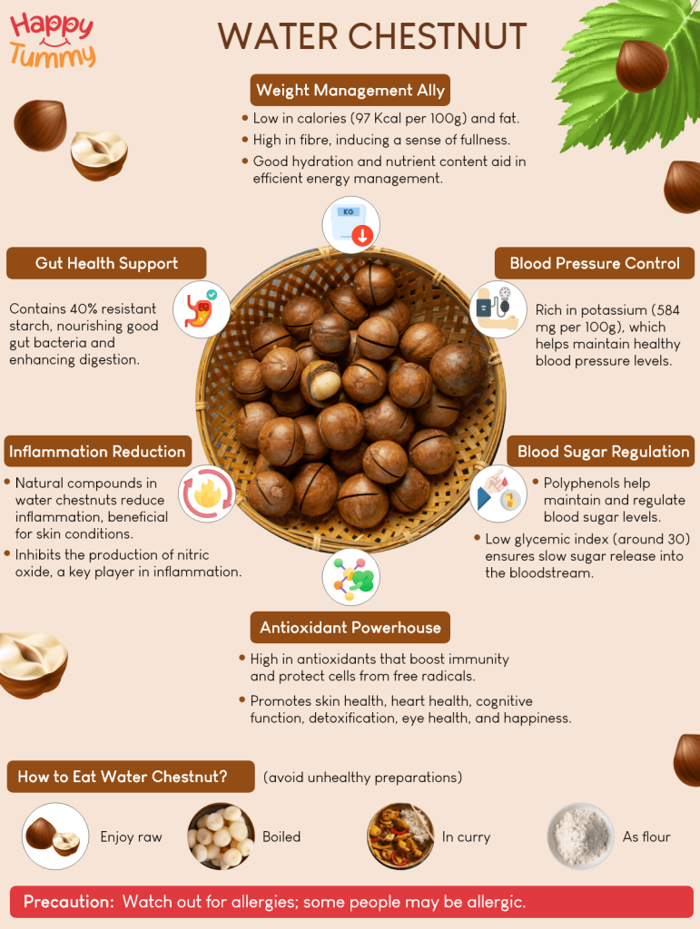 Water chestnut benefits infographic