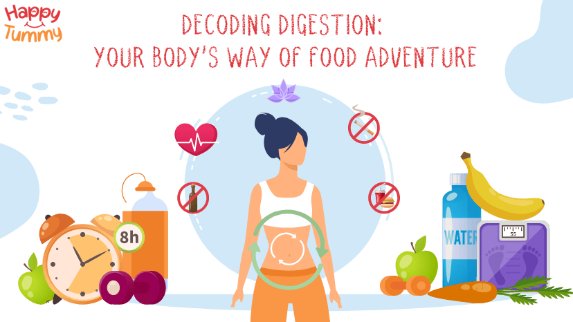 What is Digestion: Digestive System, Digestion Problems and Solution
