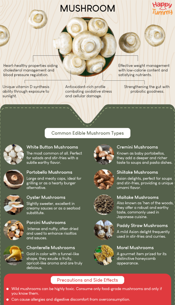 Mushroom health benefits