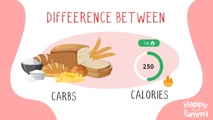Difference between carbs and calories