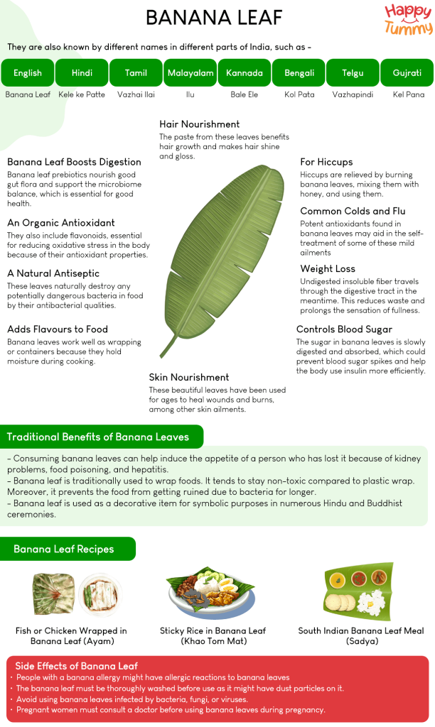 Banana leaf benefits infographic