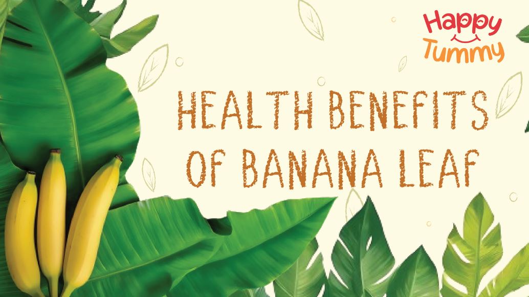 Banana Leaf: Benefits, Side Effects, Recipes and More