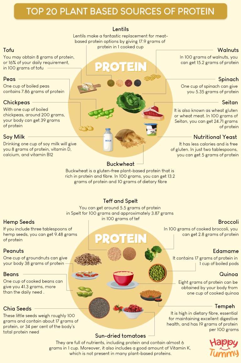 Top 20 Plant-Based Sources of Protein (Vegan Protein Sources) - Happytummy