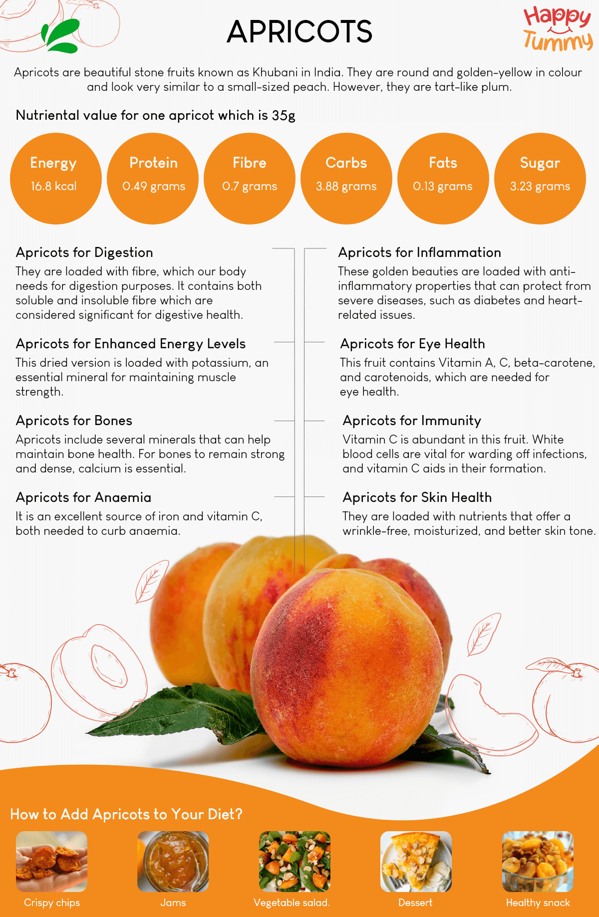 Surprising Health Benefits Of Apricots SZSG Surprising Health Benefits Of Apricots SZSG