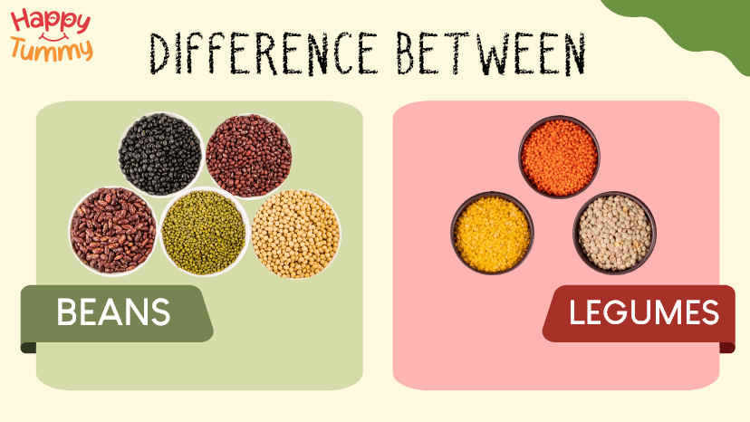 Difference between Beans and Legumes
