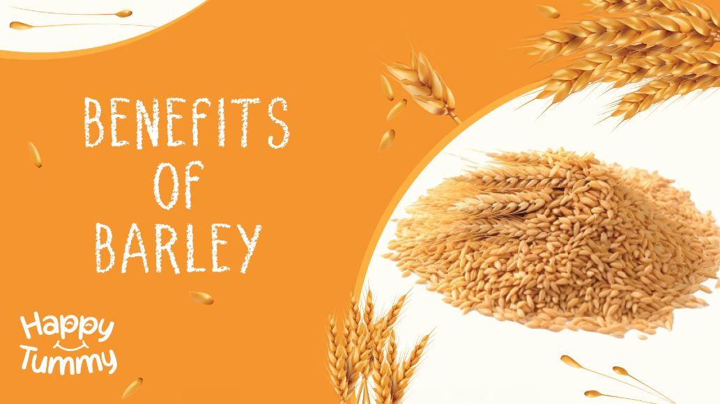Barley Benefits: A Comprehensive Guide to Boosting Health and Wellness