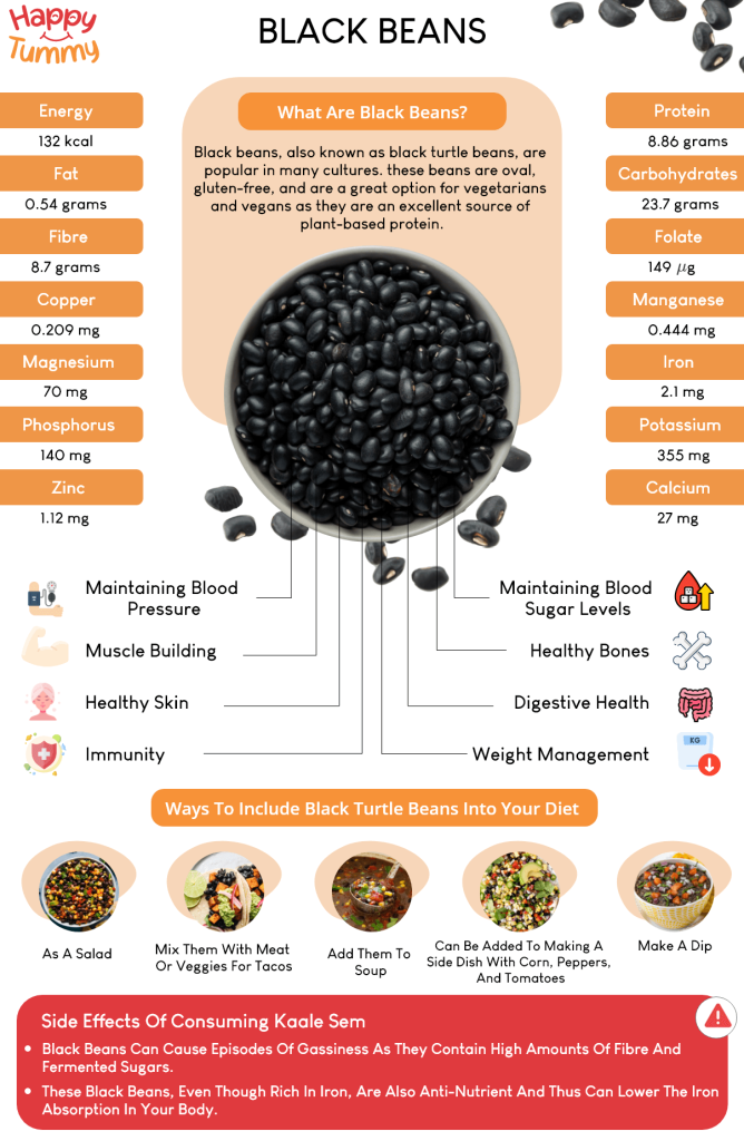 Black beans benefits infographic