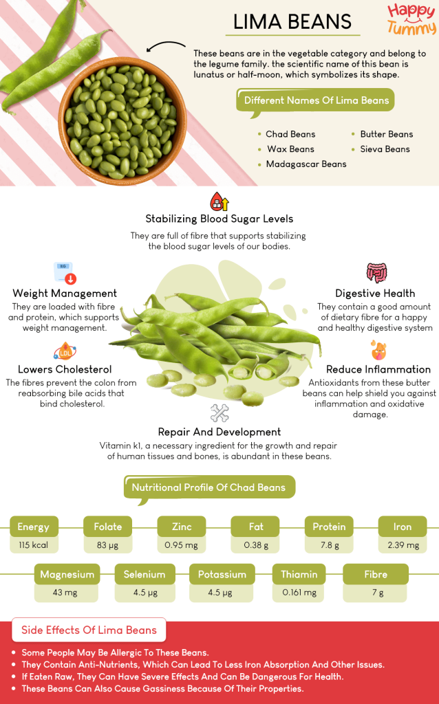 Lima beans benefits infographic