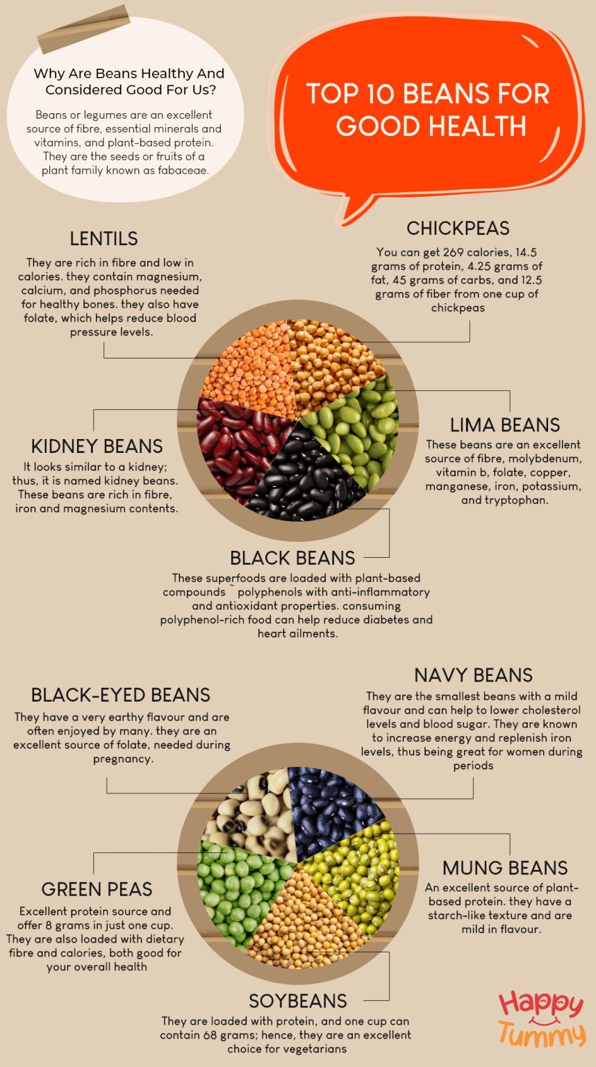 Top 10 Beans for Good Health - Happytummy