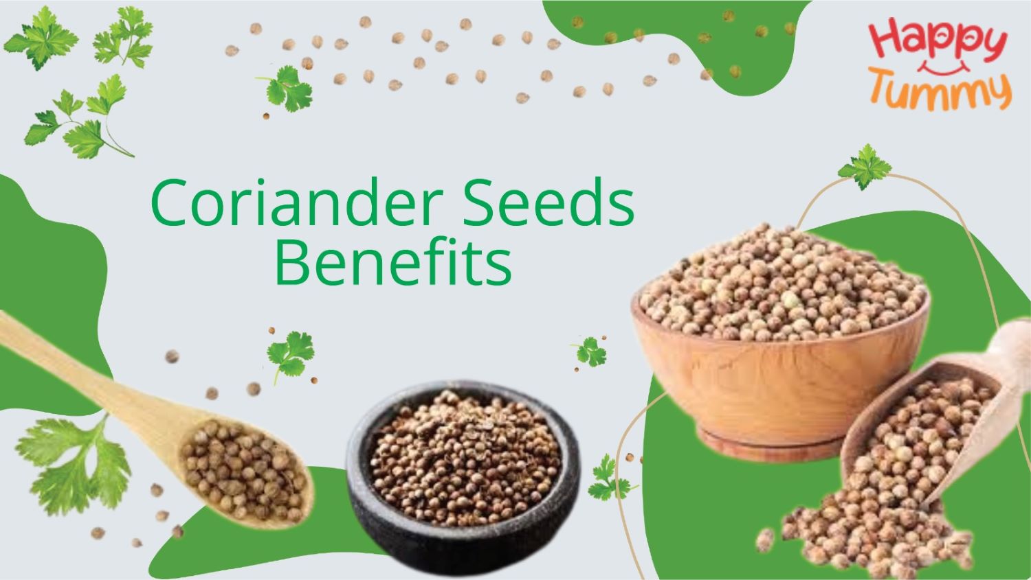 Coriander Seeds Benefits, Uses and Side Effects