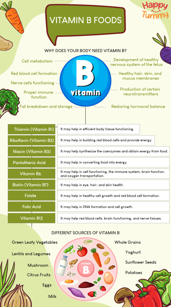 Vitamin B Foods - Top 10 Sources to Include in Your Diet