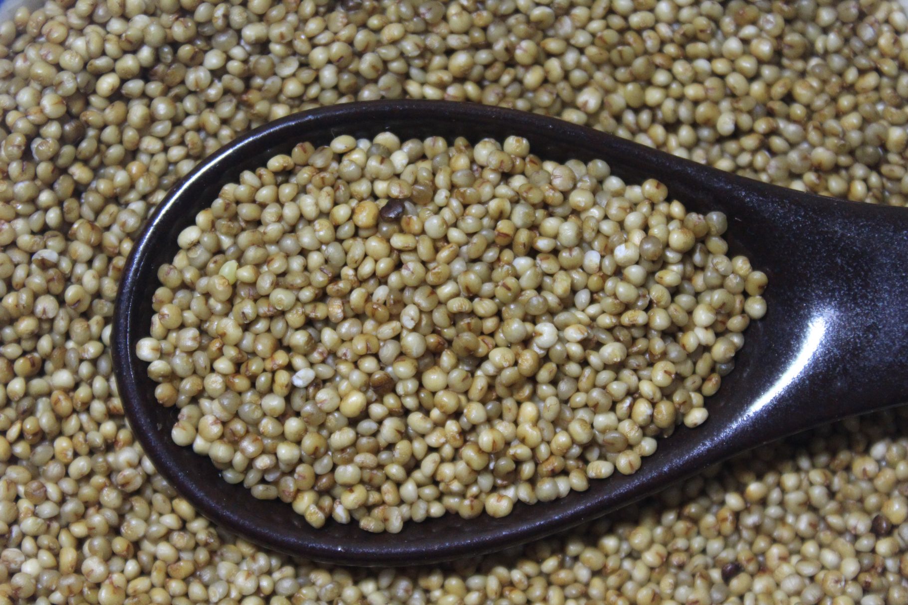 What are the Different Types of Millets you Must Know - Happytummy