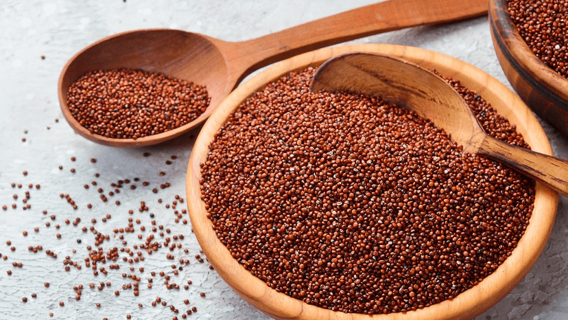 Finger millet