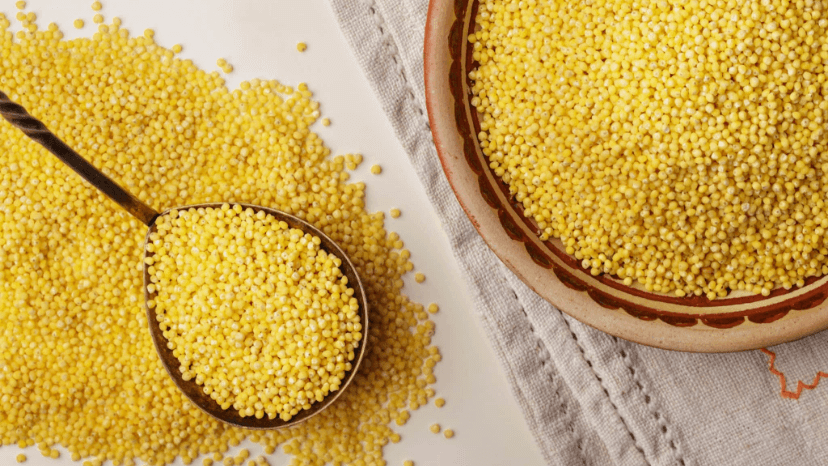 Foxtail millet