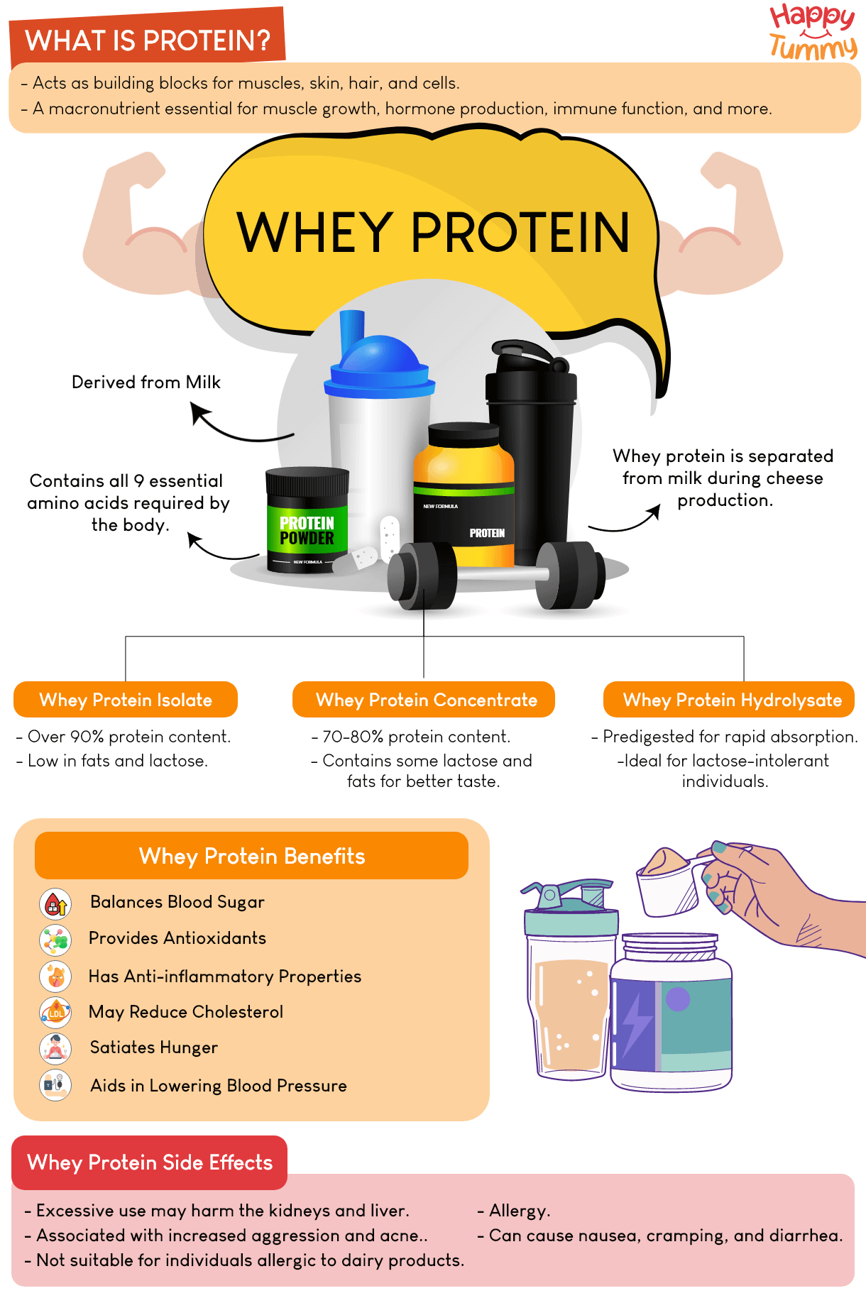 whey-protein-pros-and-cons-a-complete-guide-happytummy