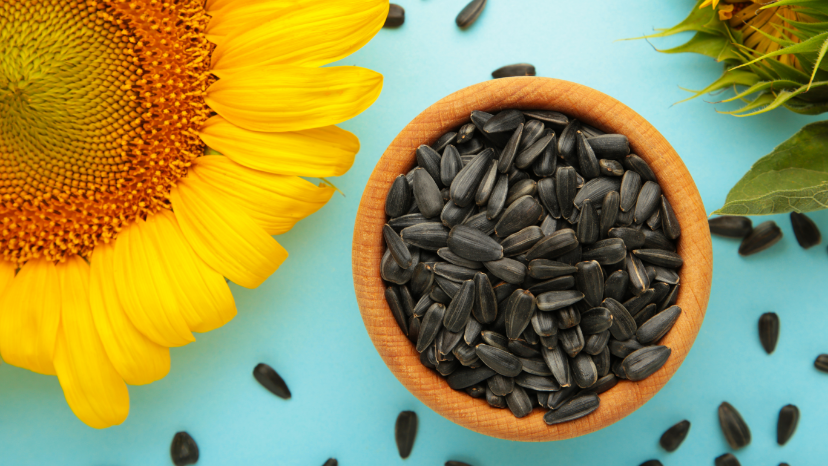 Sunflower seeds