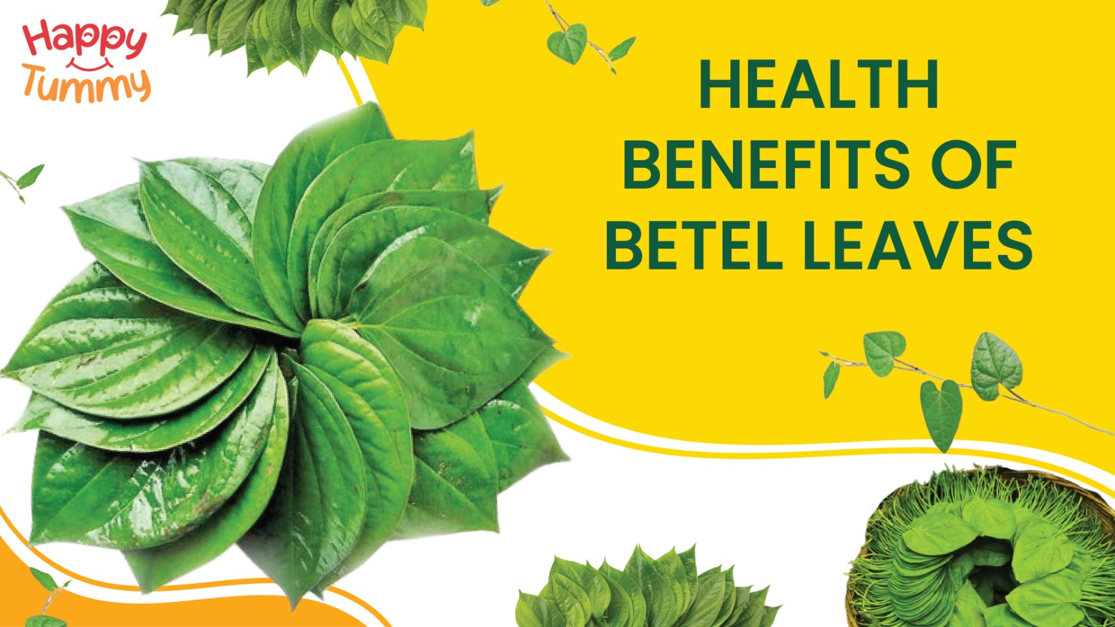 Health Benefits of Betel Leaves (Pan Patta)