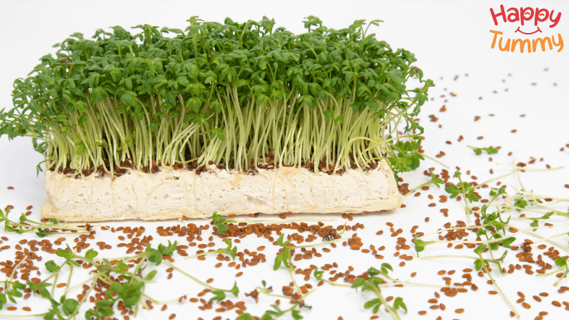 Garden cress seeds