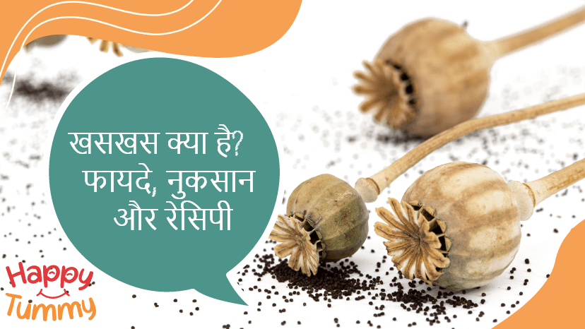 खसखस (Poppy Seeds in Hindi) क्या है? – फायदे, नुकसान और रेसिपी