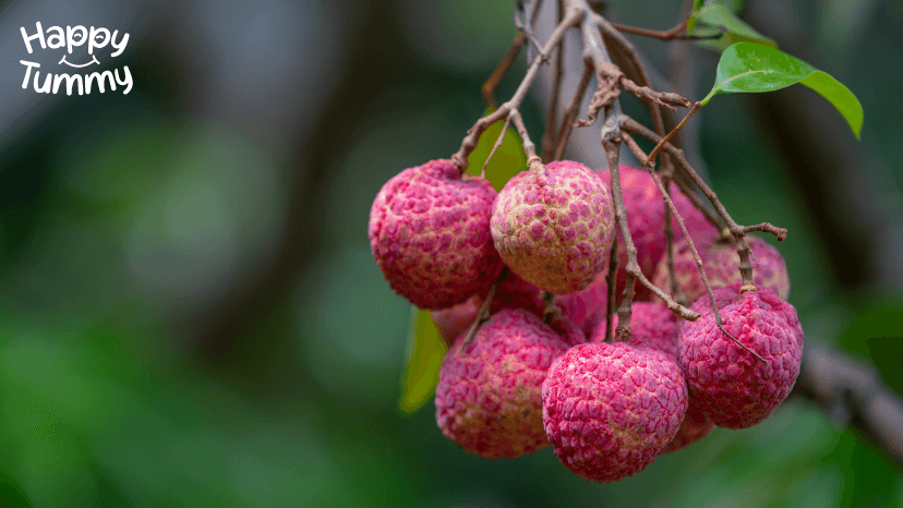 Litchi