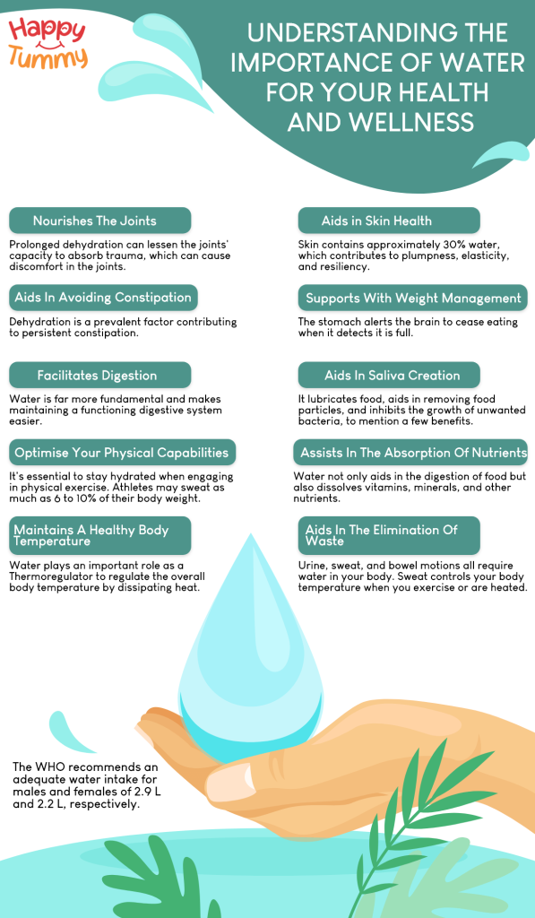 Understanding the Importance of Water for Your Health and Wellness