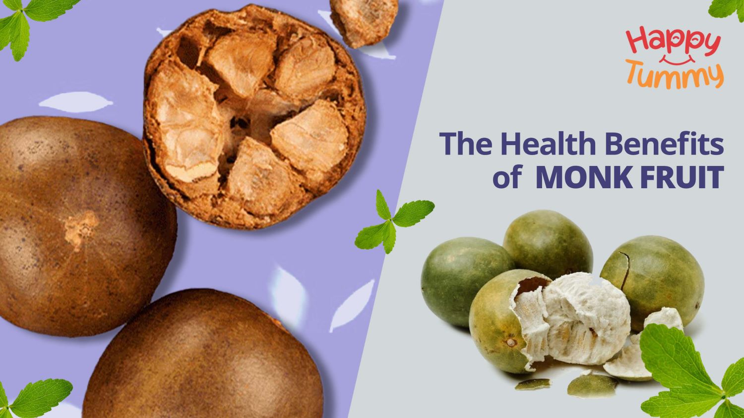 The Health Benefits of Monk Fruit Sweetener